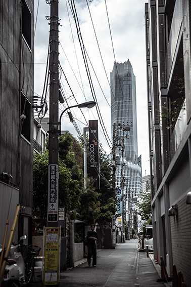 Viajes a Japón