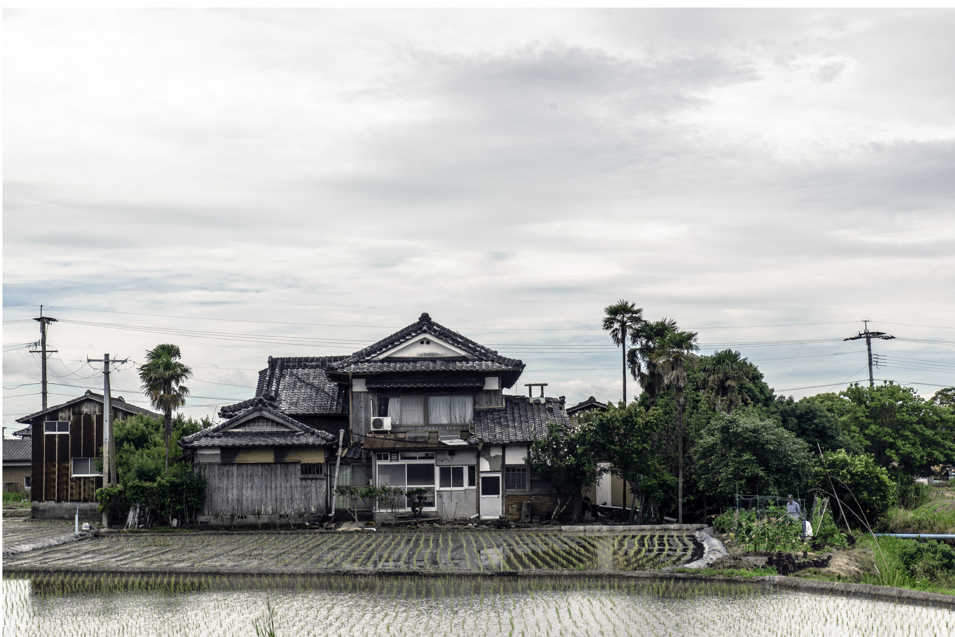 Viajes a Japón