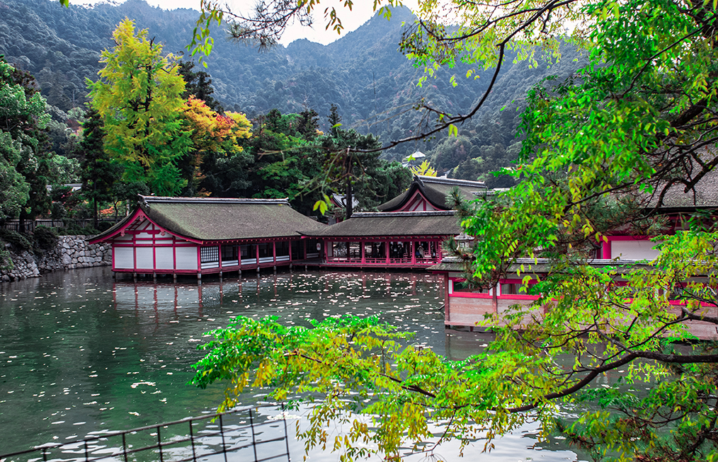 Viajes a Japón Viajes a Japón
